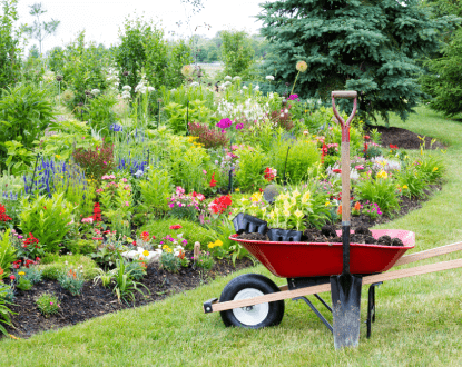 <p style="font-family: 'Poppins', sans-serif; font-weight: 700; font-size:24px;">LANDSCAPING</p>